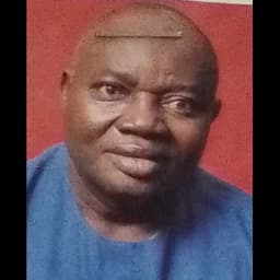 Photo of Hon. Adeboye Paul Kalejaiye