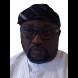 Photo of Hon. Oluwaseyi Sowumi