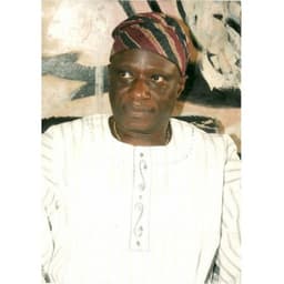 Photo of Hon. Akanni Enitan Dolapo-badru