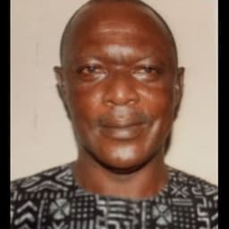 Photo of Hon. Olufemi Ogunbanwo